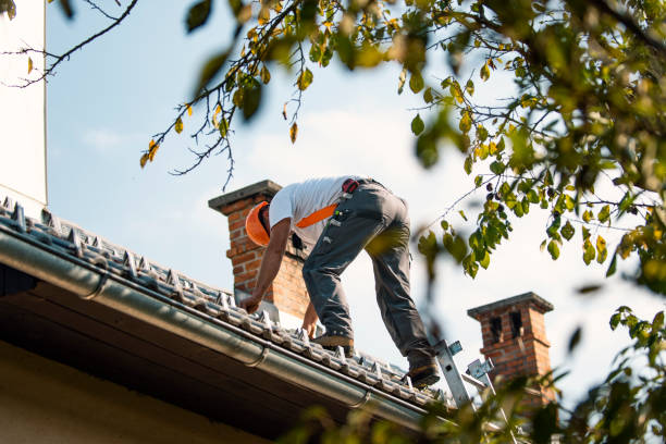 Best Sealant for Roof  in Fife, WA