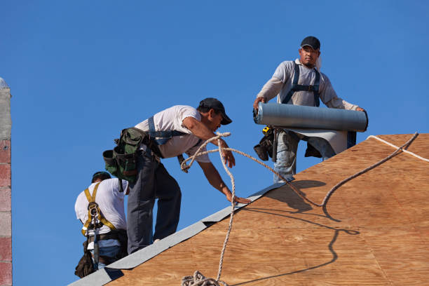 Quick and Trustworthy Emergency Roof Repair Services in Fife, WA
